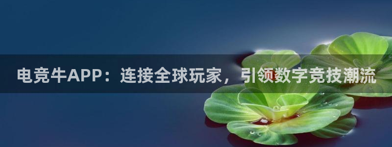 ob电竞官网入口：电竞牛APP：连接全球玩家，引领数字竞技潮流
