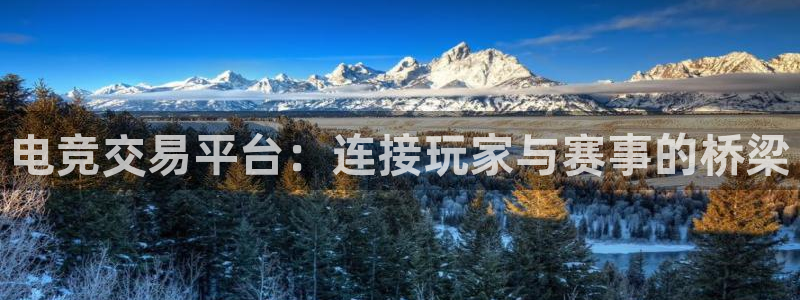 ob电竞官网入口：电竞交易平台：连接玩家与赛事的桥梁