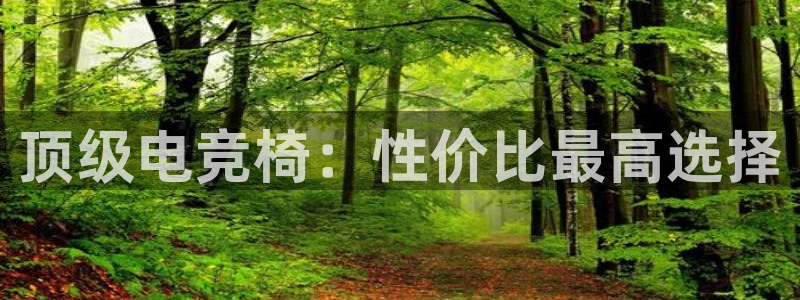 ob电竞网站：顶级电竞椅：性价比最高选择