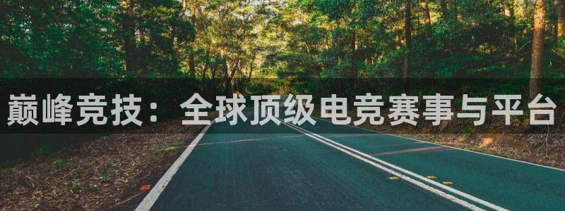 ob电竞平台：巅峰竞技：全球顶级电竞赛事与平台