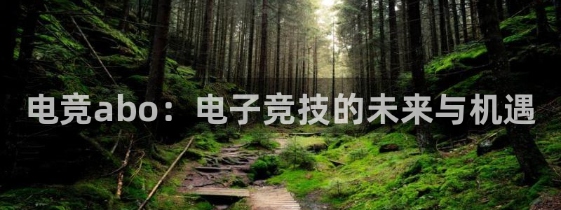 ob电竞官网入口：电竞abo：电子竞技的未来与机遇