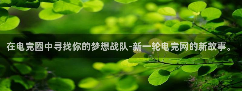 ob电竞官网：在电竞圈中寻找你的梦想战队-新一轮电竞网的新故事。