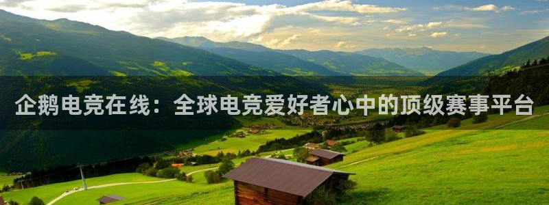 ob电竞网站：企鹅电竞在线：全球电竞爱好者心中的顶级赛事平台