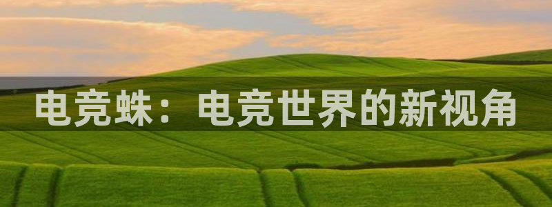 ob电竞平台：电竞蛛：电竞世界的新视角