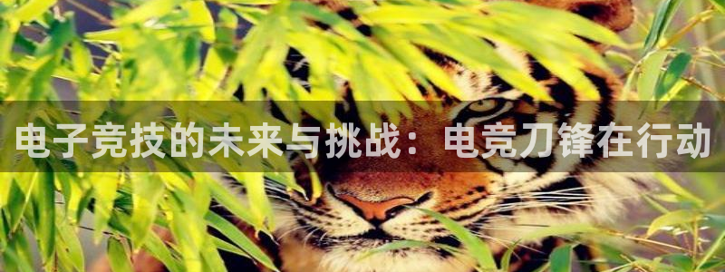 ob电竞官网入口：电子竞技的未来与挑战：电竞刀锋在行动