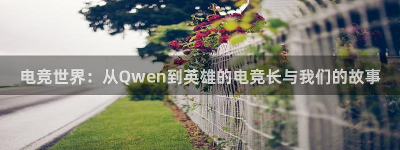ob电竞俱乐部：电竞世界：从Qwen到英雄的电竞长与我们的故事