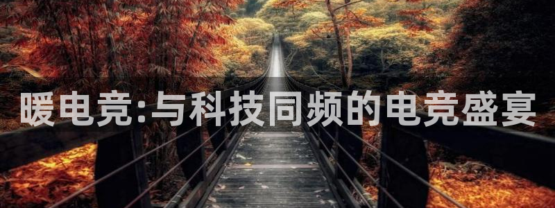 ob电竞网站：暖电竞:与科技同频的电竞盛宴