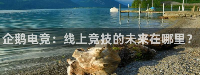 ob电竞官网入口：企鹅电竞：线上竞技的未来在哪里？