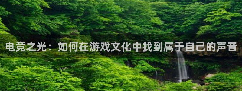 ob电竞网站：电竞之光：如何在游戏文化中找到属于自己的声音