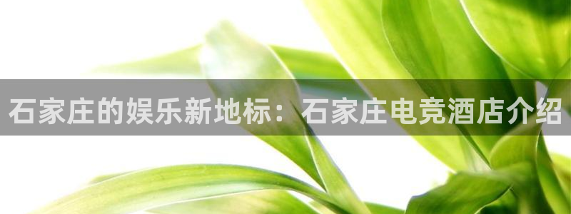 ob电竞平台：石家庄的娱乐新地标：石家庄电竞酒店介绍