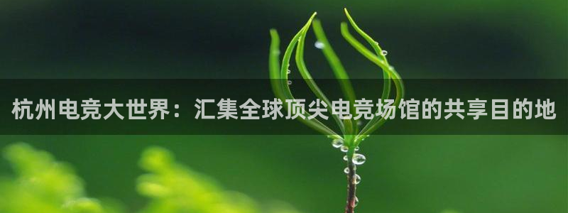 ob电竞官网：杭州电竞大世界：汇集全球顶尖电竞场馆的共享目的地