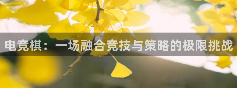 ob电竞网站：电竞棋：一场融合竞技与策略的极限挑战